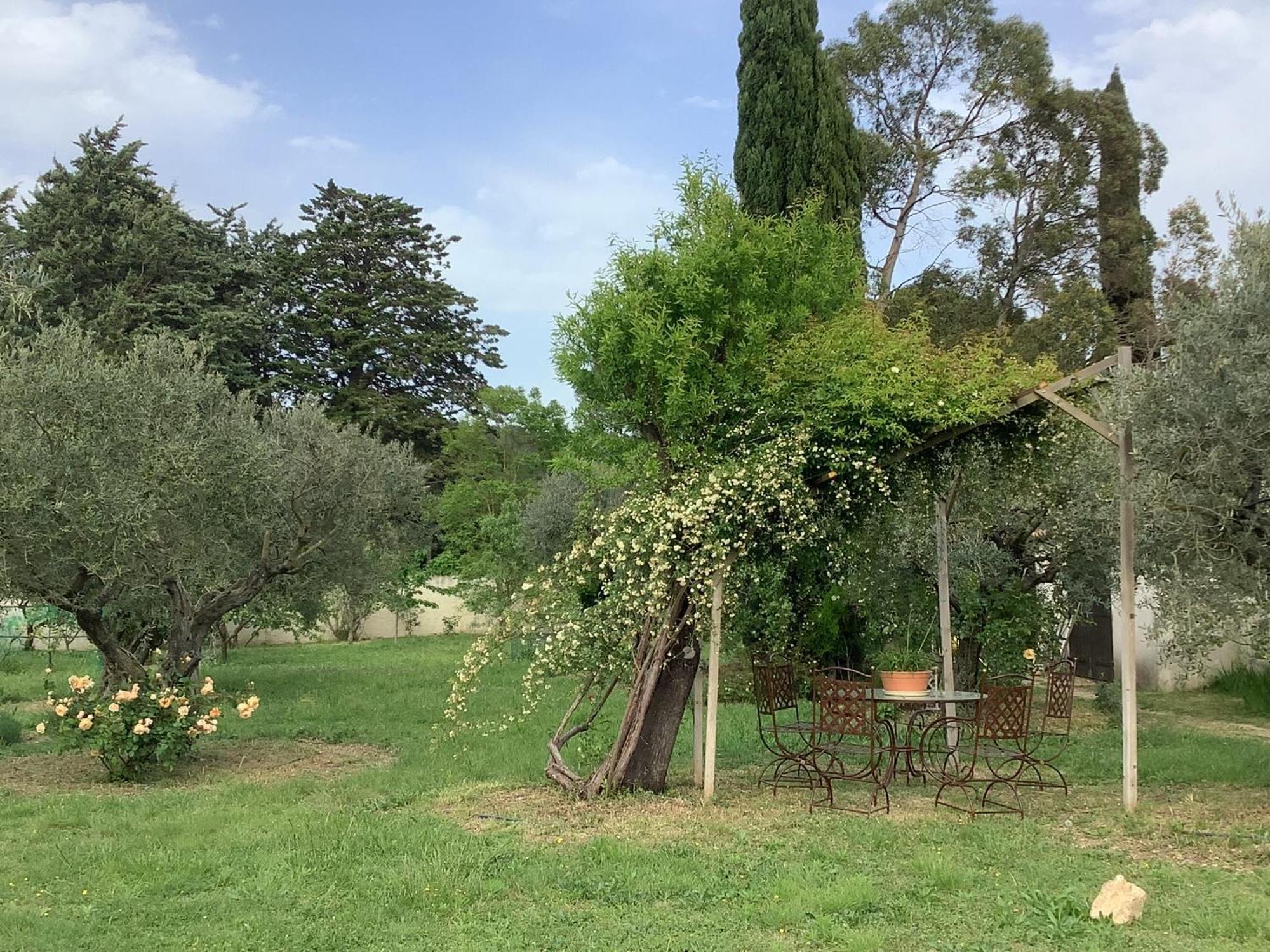 Le Mas Des Oliviers Martigues Exterior foto